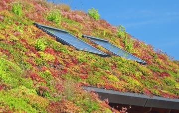 North Bersted living roof systems