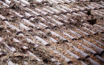 North Bersted roof cleaning companies